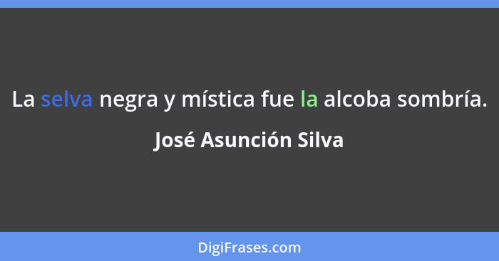 La selva negra y mística fue la alcoba sombría.... - José Asunción Silva