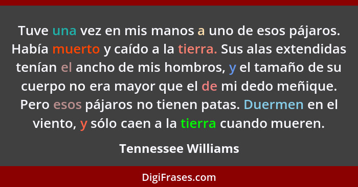 Tuve una vez en mis manos a uno de esos pájaros. Había muerto y caído a la tierra. Sus alas extendidas tenían el ancho de mis hom... - Tennessee Williams