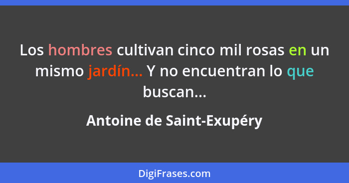 Los hombres cultivan cinco mil rosas en un mismo jardín... Y no encuentran lo que buscan...... - Antoine de Saint-Exupéry