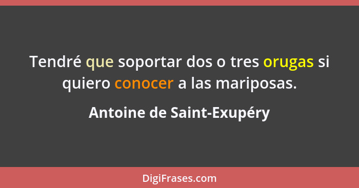 Tendré que soportar dos o tres orugas si quiero conocer a las mariposas.... - Antoine de Saint-Exupéry