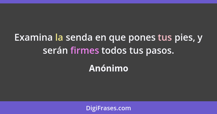 Examina la senda en que pones tus pies, y serán firmes todos tus pasos.... - Anónimo