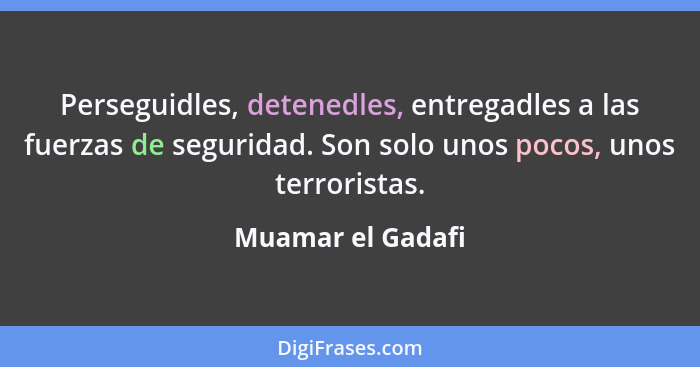 Perseguidles, detenedles, entregadles a las fuerzas de seguridad. Son solo unos pocos, unos terroristas.... - Muamar el Gadafi