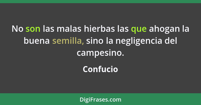 No son las malas hierbas las que ahogan la buena semilla, sino la negligencia del campesino.... - Confucio