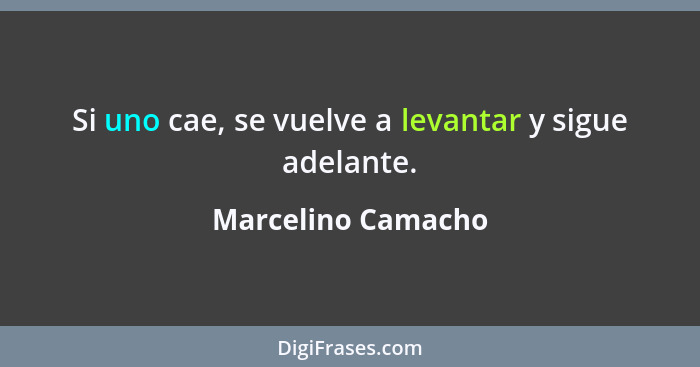 Si uno cae, se vuelve a levantar y sigue adelante.... - Marcelino Camacho