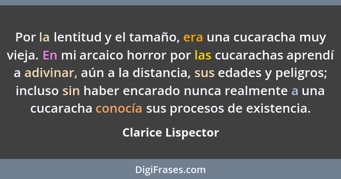 Por la lentitud y el tamaño, era una cucaracha muy vieja. En mi arcaico horror por las cucarachas aprendí a adivinar, aún a la dis... - Clarice Lispector