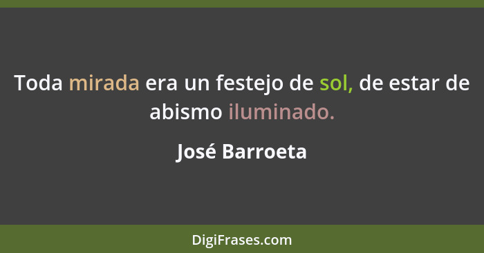 Toda mirada era un festejo de sol, de estar de abismo iluminado.... - José Barroeta