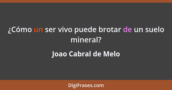 ¿Cómo un ser vivo puede brotar de un suelo mineral?... - Joao Cabral de Melo