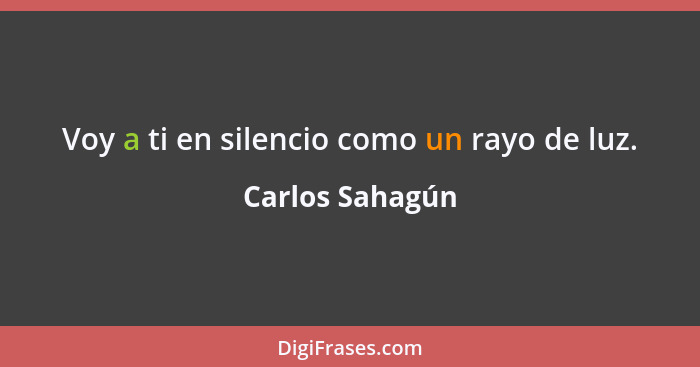 Voy a ti en silencio como un rayo de luz.... - Carlos Sahagún