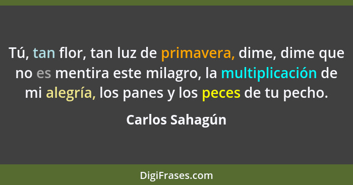 Tú, tan flor, tan luz de primavera, dime, dime que no es mentira este milagro, la multiplicación de mi alegría, los panes y los peces... - Carlos Sahagún