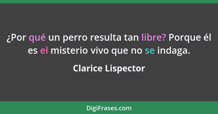 ¿Por qué un perro resulta tan libre? Porque él es el misterio vivo que no se indaga.... - Clarice Lispector