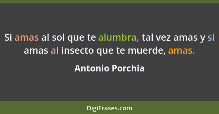 Si amas al sol que te alumbra, tal vez amas y si amas al insecto que te muerde, amas.... - Antonio Porchia