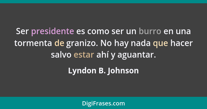 Ser presidente es como ser un burro en una tormenta de granizo. No hay nada que hacer salvo estar ahí y aguantar.... - Lyndon B. Johnson