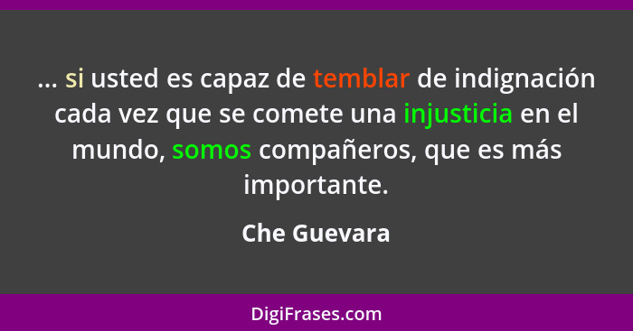 ... si usted es capaz de temblar de indignación cada vez que se comete una injusticia en el mundo, somos compañeros, que es más importan... - Che Guevara