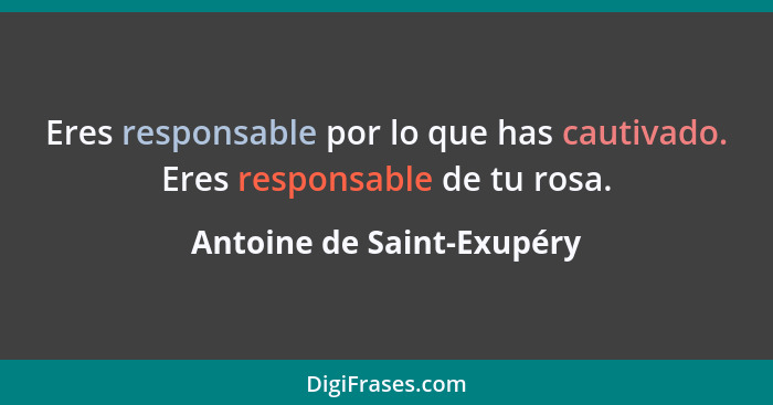 Eres responsable por lo que has cautivado. Eres responsable de tu rosa.... - Antoine de Saint-Exupéry