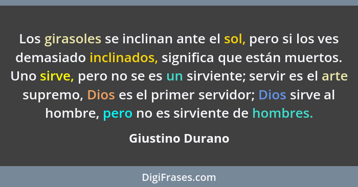 Los girasoles se inclinan ante el sol, pero si los ves demasiado inclinados, significa que están muertos. Uno sirve, pero no se es u... - Giustino Durano