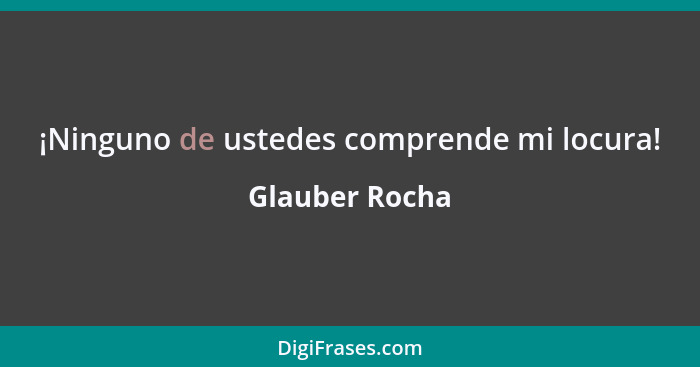 ¡Ninguno de ustedes comprende mi locura!... - Glauber Rocha