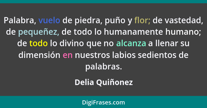 Palabra, vuelo de piedra, puño y flor; de vastedad, de pequeñez, de todo lo humanamente humano; de todo lo divino que no alcanza a ll... - Delia Quiñonez