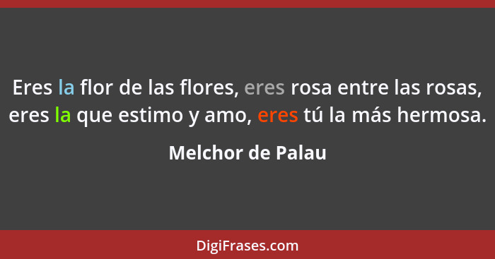 Eres la flor de las flores, eres rosa entre las rosas, eres la que estimo y amo, eres tú la más hermosa.... - Melchor de Palau