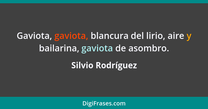 Gaviota, gaviota, blancura del lirio, aire y bailarina, gaviota de asombro.... - Silvio Rodríguez