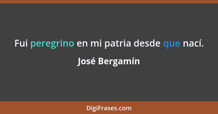 Fui peregrino en mi patria desde que nací.... - José Bergamín