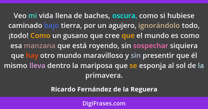 Veo mi vida llena de baches, oscura, como si hubiese caminado bajo tierra, por un agujero, ignorándolo todo, ¡todo!... - Ricardo Fernández de la Reguera