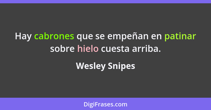 Hay cabrones que se empeñan en patinar sobre hielo cuesta arriba.... - Wesley Snipes