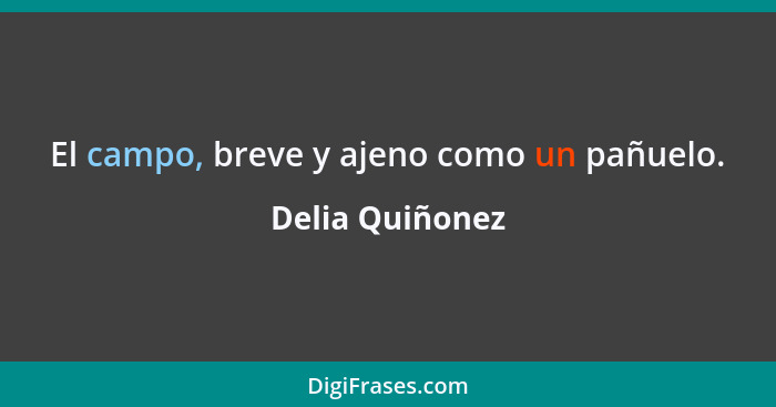 El campo, breve y ajeno como un pañuelo.... - Delia Quiñonez