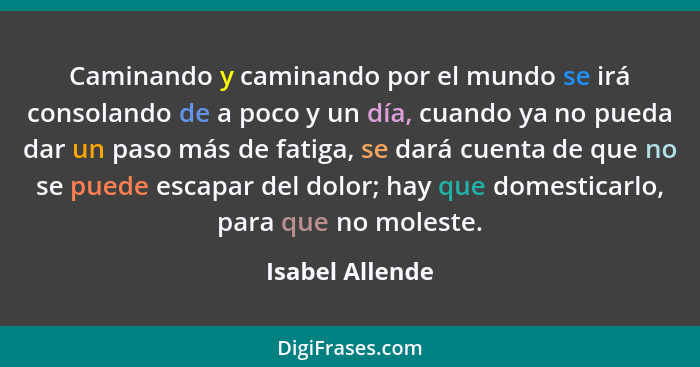 Caminando y caminando por el mundo se irá consolando de a poco y un día, cuando ya no pueda dar un paso más de fatiga, se dará cuenta... - Isabel Allende