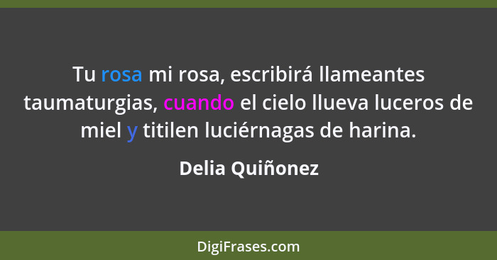 Tu rosa mi rosa, escribirá llameantes taumaturgias, cuando el cielo llueva luceros de miel y titilen luciérnagas de harina.... - Delia Quiñonez