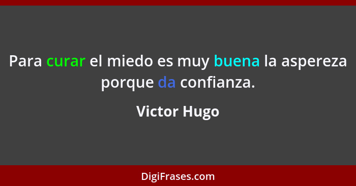 Para curar el miedo es muy buena la aspereza porque da confianza.... - Victor Hugo