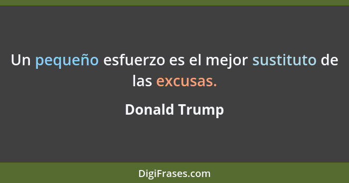 Un pequeño esfuerzo es el mejor sustituto de las excusas.... - Donald Trump