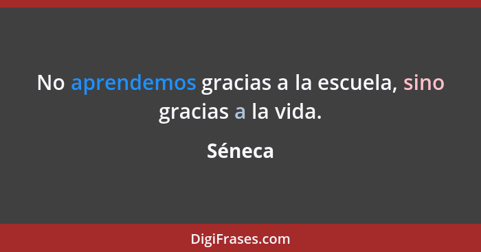 No aprendemos gracias a la escuela, sino gracias a la vida.... - Séneca