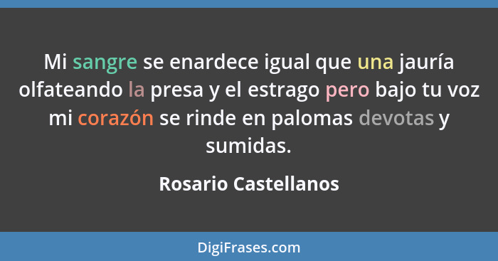 Mi sangre se enardece igual que una jauría olfateando la presa y el estrago pero bajo tu voz mi corazón se rinde en palomas devo... - Rosario Castellanos