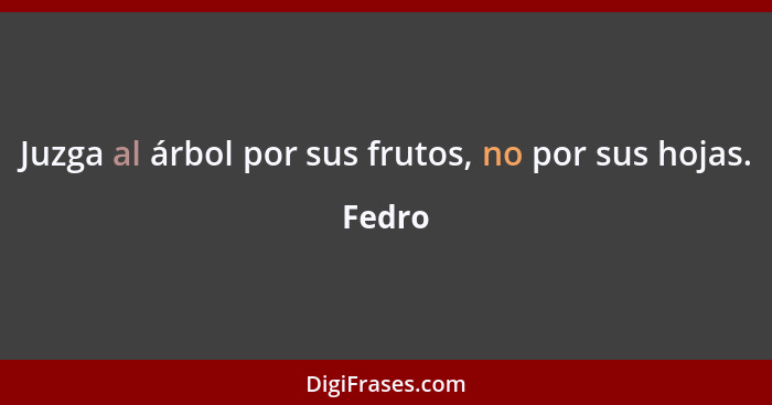 Juzga al árbol por sus frutos, no por sus hojas.... - Fedro