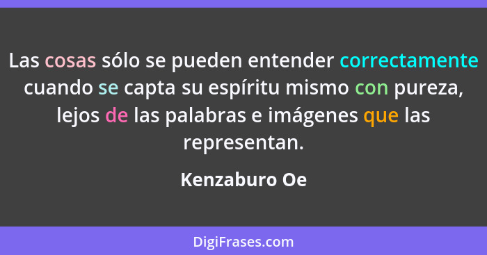 Las cosas sólo se pueden entender correctamente cuando se capta su espíritu mismo con pureza, lejos de las palabras e imágenes que las... - Kenzaburo Oe