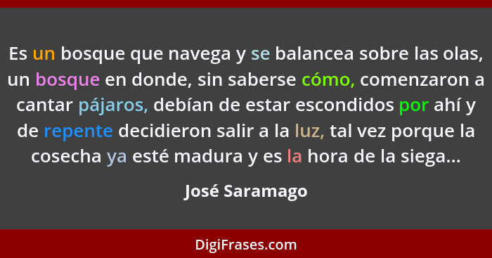 Es un bosque que navega y se balancea sobre las olas, un bosque en donde, sin saberse cómo, comenzaron a cantar pájaros, debían de est... - José Saramago