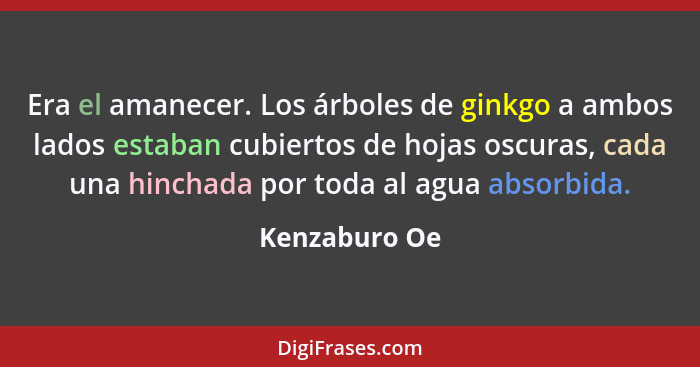 Era el amanecer. Los árboles de ginkgo a ambos lados estaban cubiertos de hojas oscuras, cada una hinchada por toda al agua absorbida.... - Kenzaburo Oe