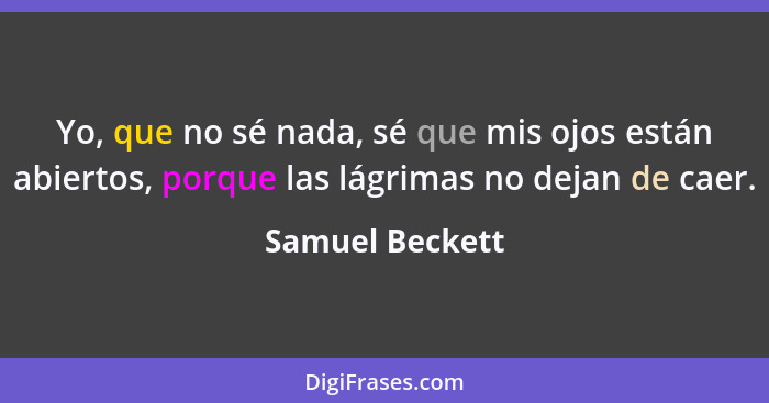 Yo, que no sé nada, sé que mis ojos están abiertos, porque las lágrimas no dejan de caer.... - Samuel Beckett