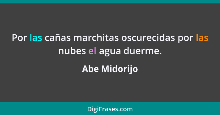 Por las cañas marchitas oscurecidas por las nubes el agua duerme.... - Abe Midorijo