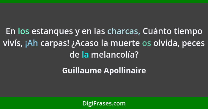 En los estanques y en las charcas, Cuánto tiempo vivís, ¡Ah carpas! ¿Acaso la muerte os olvida, peces de la melancolía?... - Guillaume Apollinaire