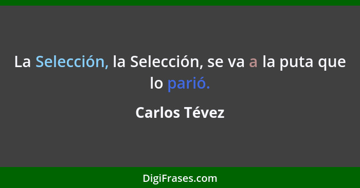 La Selección, la Selección, se va a la puta que lo parió.... - Carlos Tévez