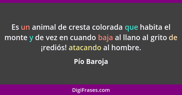 Es un animal de cresta colorada que habita el monte y de vez en cuando baja al llano al grito de ¡rediós! atacando al hombre.... - Pío Baroja