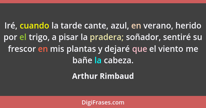 Iré, cuando la tarde cante, azul, en verano, herido por el trigo, a pisar la pradera; soñador, sentiré su frescor en mis plantas y de... - Arthur Rimbaud