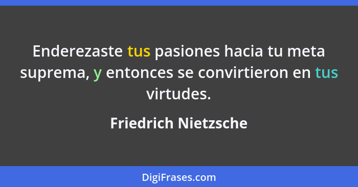 Enderezaste tus pasiones hacia tu meta suprema, y entonces se convirtieron en tus virtudes.... - Friedrich Nietzsche