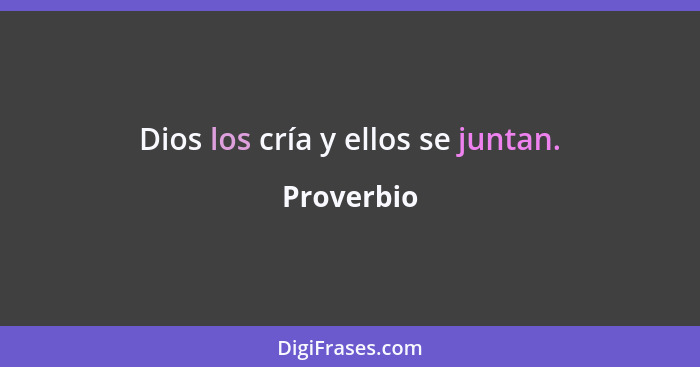 Dios los cría y ellos se juntan.... - Proverbio