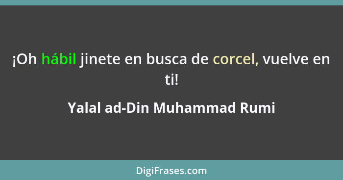 ¡Oh hábil jinete en busca de corcel, vuelve en ti!... - Yalal ad-Din Muhammad Rumi