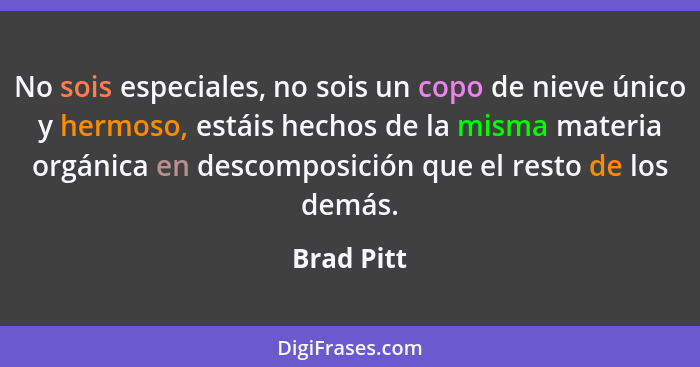 No sois especiales, no sois un copo de nieve único y hermoso, estáis hechos de la misma materia orgánica en descomposición que el resto de... - Brad Pitt