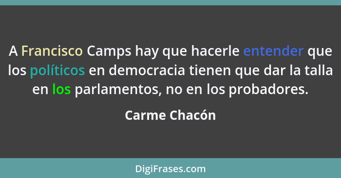 A Francisco Camps hay que hacerle entender que los políticos en democracia tienen que dar la talla en los parlamentos, no en los probad... - Carme Chacón