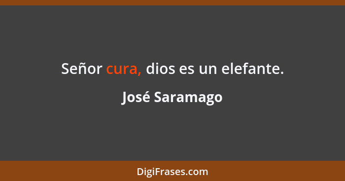 Señor cura, dios es un elefante.... - José Saramago