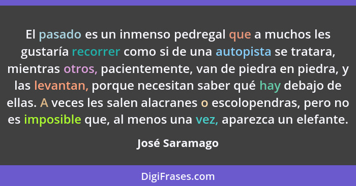 El pasado es un inmenso pedregal que a muchos les gustaría recorrer como si de una autopista se tratara, mientras otros, pacientemente... - José Saramago